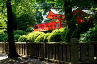 Nezu Torii Gates - Tokyo